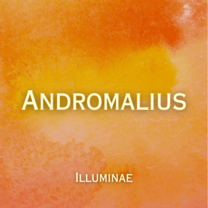 Andromalius Illuminae Initiation